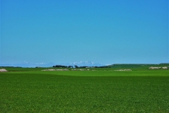 409-Champs de blé près de San Bol (2)